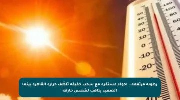 رطوبة مرتفعة.. أجواء مستقرة مع سحب خفيفة تلطّف حرارة القاهرة بينما الصعيد يتأهب لشمس حارقة